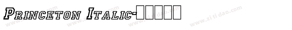 Princeton Italic字体转换